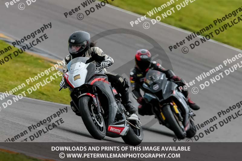 PJ Motorsport 2019;anglesey no limits trackday;anglesey photographs;anglesey trackday photographs;enduro digital images;event digital images;eventdigitalimages;no limits trackdays;peter wileman photography;racing digital images;trac mon;trackday digital images;trackday photos;ty croes